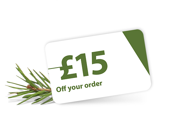 slp_Advent-Period9-2022_hybris_Day01_uk.png